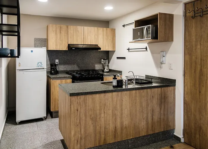 An In The Heart Of Apartment Mexico City