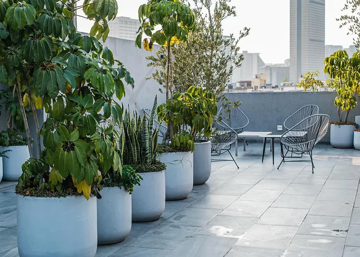 Apartment An In The Heart Of Mexico City